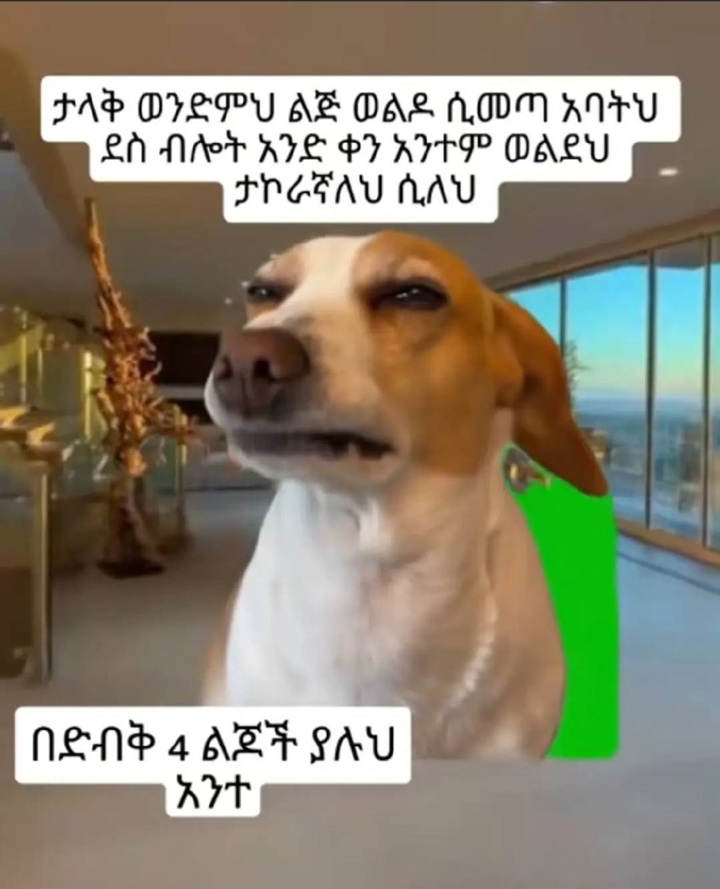 ታላቅ ወንድምህ ልጅ ወልዶ ሲመጣ አባትህ . ጊደስ ብሎት አንድ ቀን አንተም ወልደህ የ= {Fab OVEPU AZ OAS ADM ATV TEN Niet IE FT AHP DALY pz